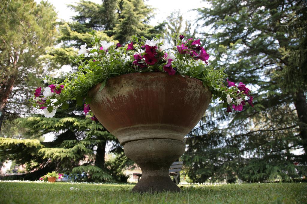 Hotel Bassetto Ферентино Экстерьер фото
